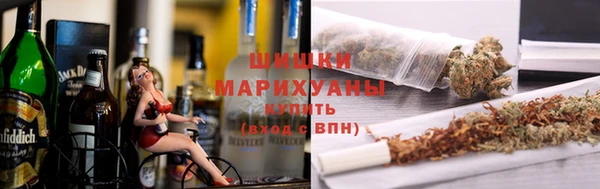 СК Коряжма