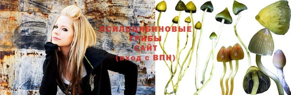 PSILOCYBIN Костерёво