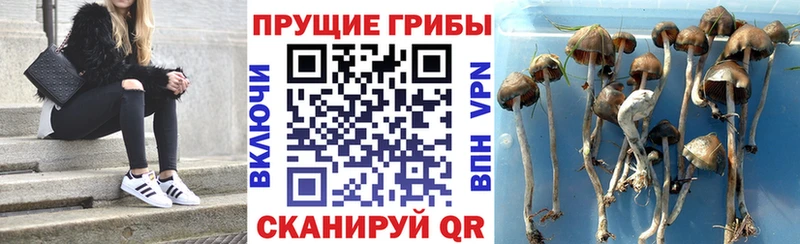 Галлюциногенные грибы Magic Shrooms  мега рабочий сайт  Кумертау  где купить  